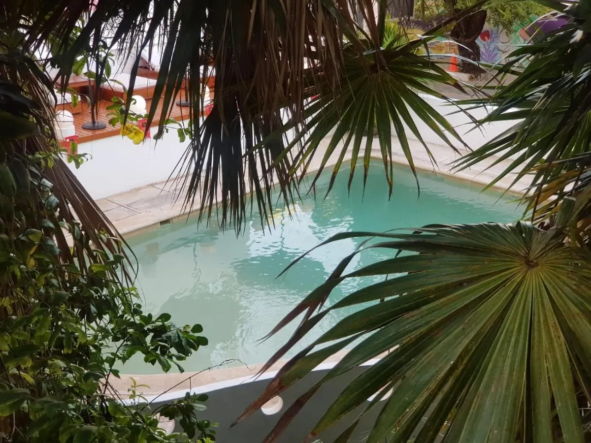 Hotel ropical party Playa del Carmen