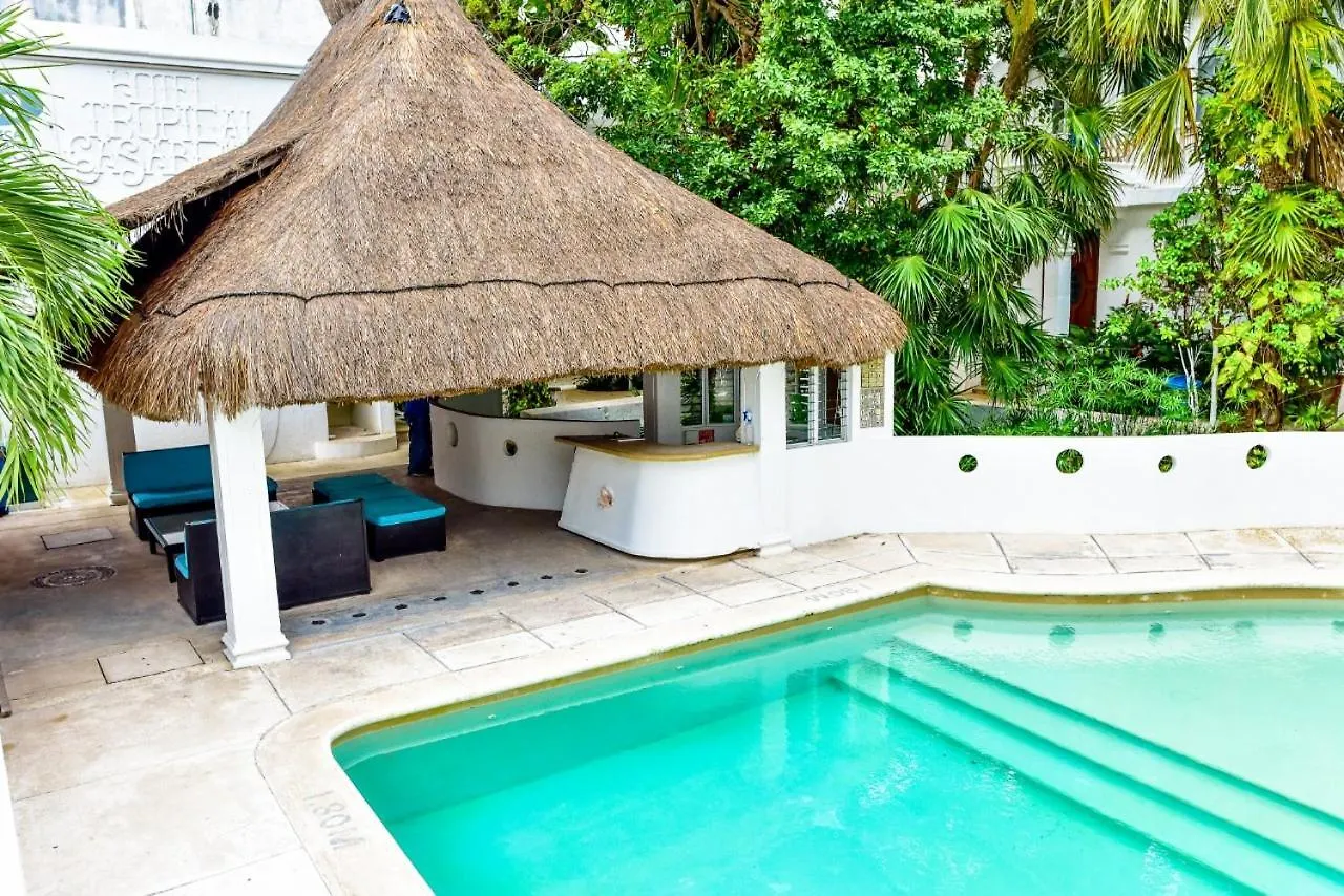 **  Hotel ropical party Playa del Carmen México